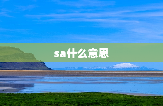 sa什么意思