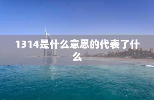 1314是什么意思的代表了什么