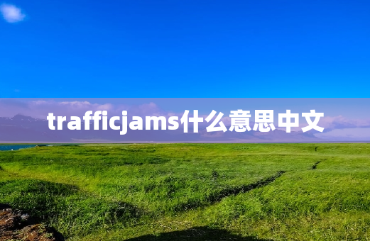 trafficjams什么意思中文