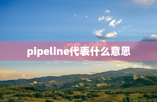 pipeline代表什么意思