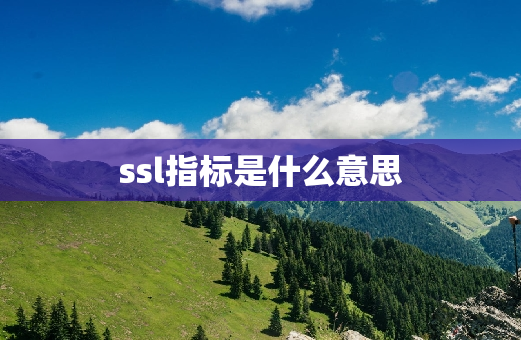 ssl指标是什么意思