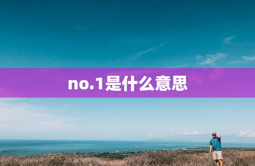 no.1是什么意思