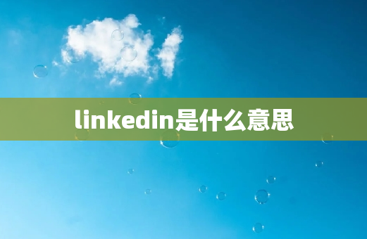 linkedin是什么意思