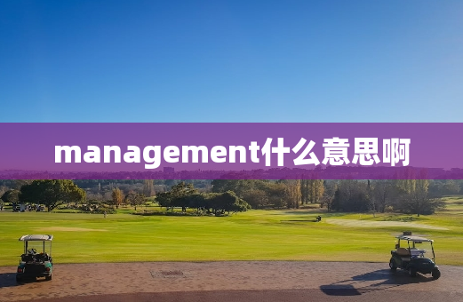 management什么意思啊