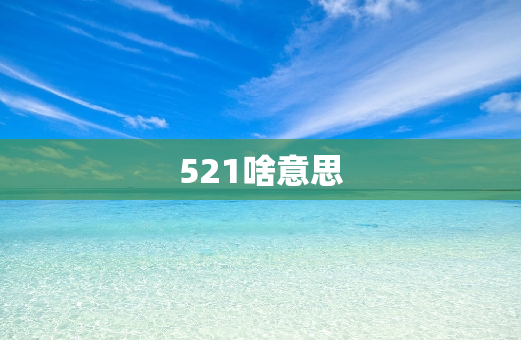 521啥意思