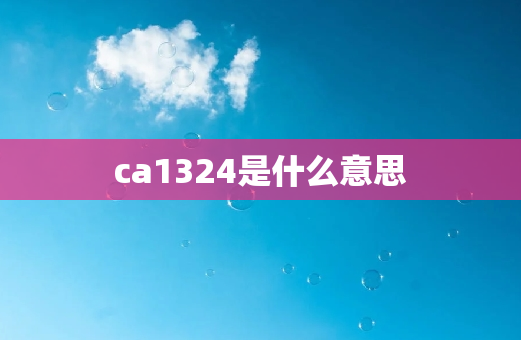 ca1324是什么意思