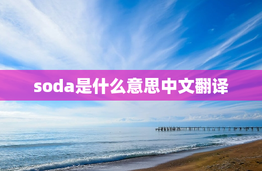 soda是什么意思中文翻译