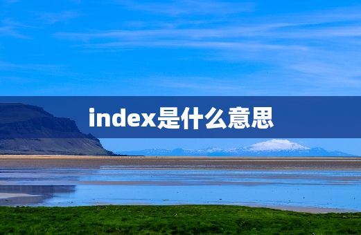 index是什么意思