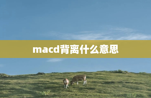 macd背离什么意思