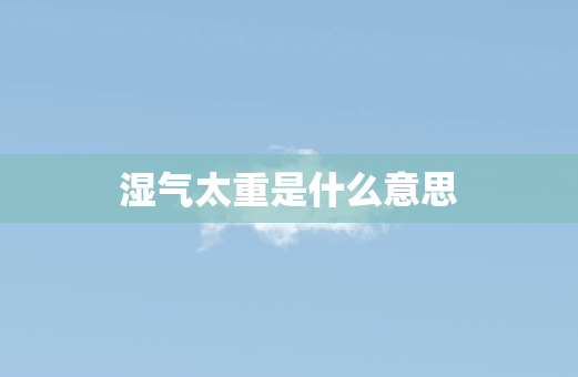 湿气太重是什么意思