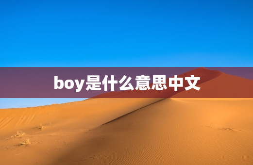 boy是什么意思中文