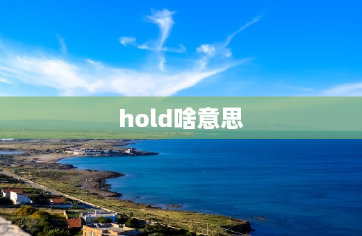 hold啥意思