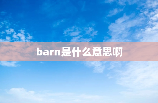 barn是什么意思啊