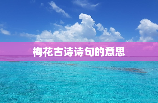 梅花古诗诗句的意思