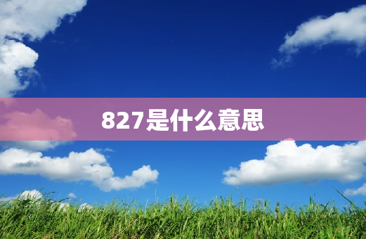 827是什么意思