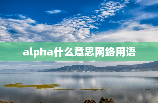 alpha什么意思网络用语