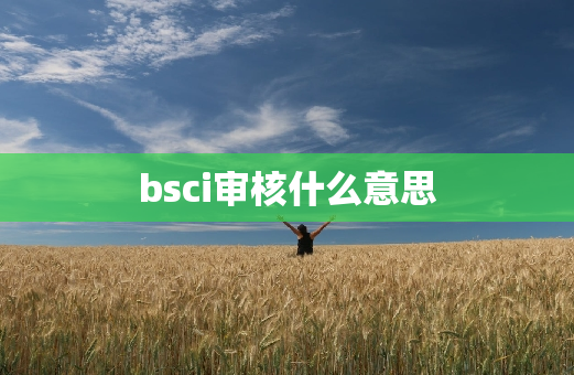 bsci审核什么意思