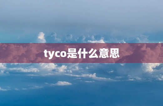 tyco是什么意思