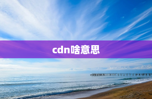 cdn啥意思