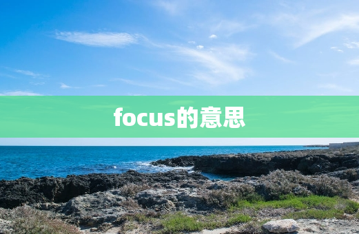 focus的意思