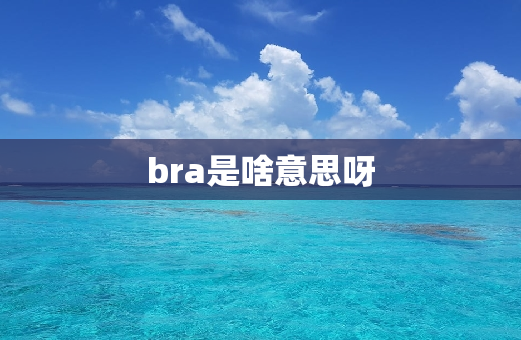 bra是啥意思呀