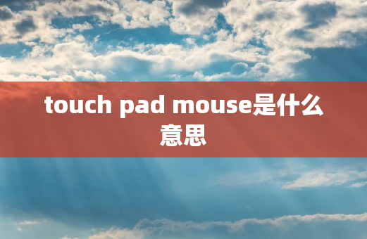 touch pad mouse是什么意思