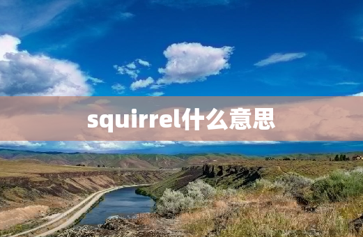 squirrel什么意思