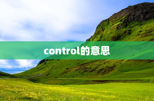 control的意思