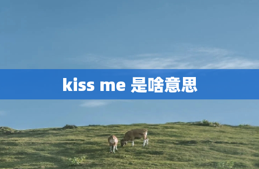 kiss me 是啥意思