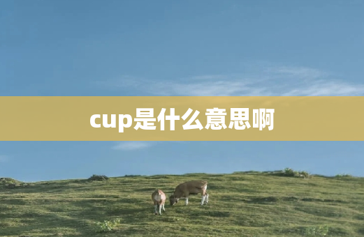 cup是什么意思啊