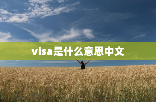 visa是什么意思中文