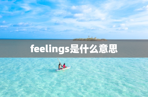 feelings是什么意思