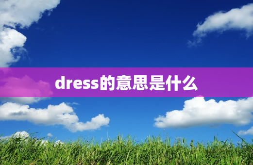 dress的意思是什么