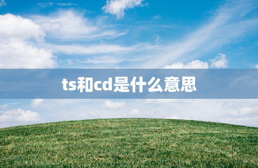 ts和cd是什么意思