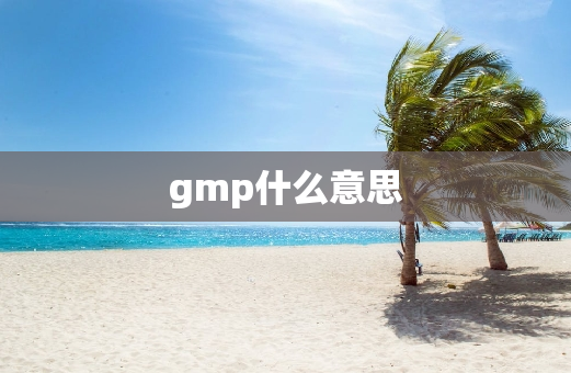 gmp什么意思