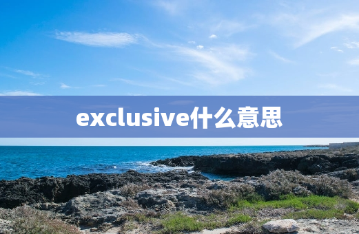 exclusive什么意思