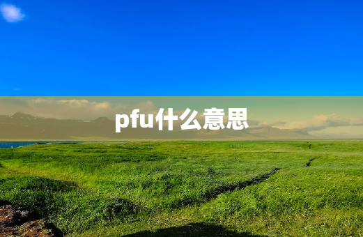 pfu什么意思