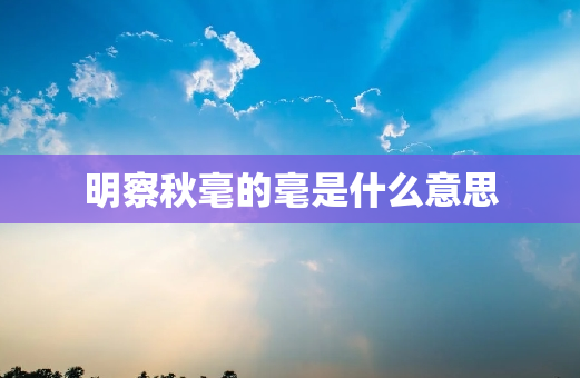 明察秋毫的毫是什么意思