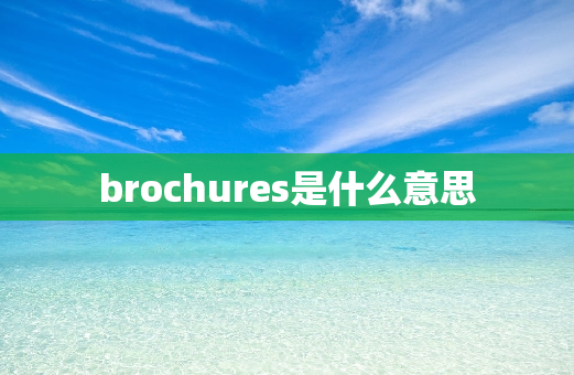 brochures是什么意思