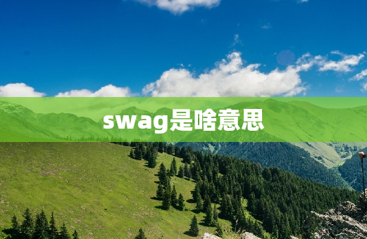 swag是啥意思