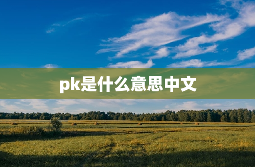 pk是什么意思中文