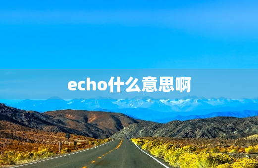 echo什么意思啊