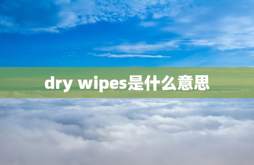 dry wipes是什么意思