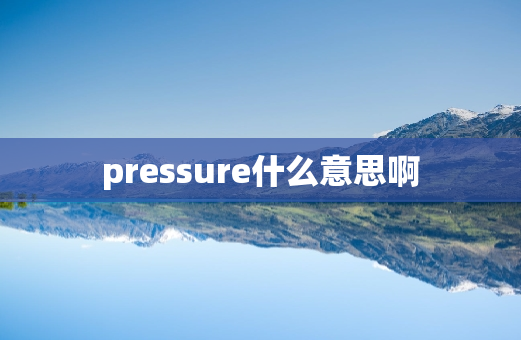 pressure什么意思啊