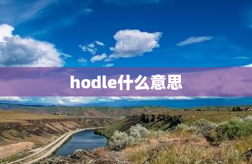 hodle什么意思