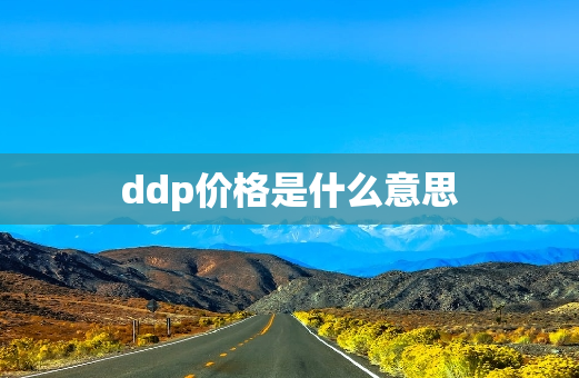 ddp价格是什么意思