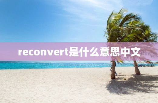 reconvert是什么意思中文