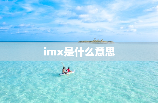 imx是什么意思