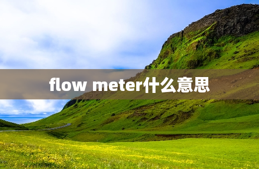 flow meter什么意思