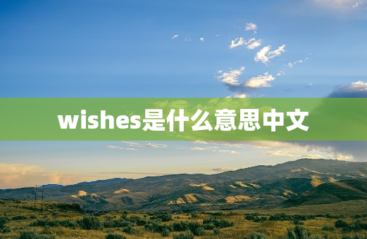 wishes是什么意思中文